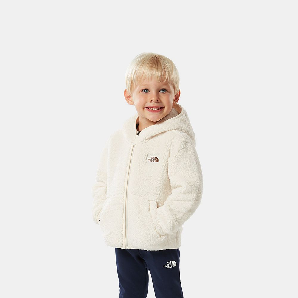 The North Face Hoodie Toddler Australia - The North Face Toddler Campshire White (JQU-150849)